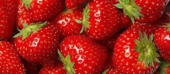 Eigene Freiland-Erdbeeren täglich frisch gepflückt!